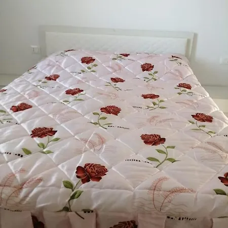 Bujtinat Peci *
